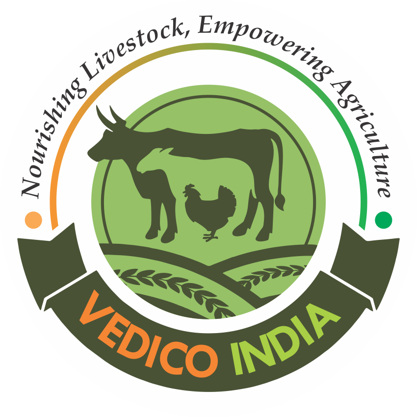 Globe Vedico India
